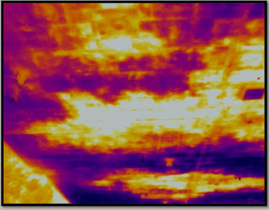 mold incarperting and ceiling